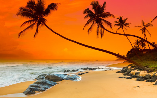 1076521 (a): :2880x1800